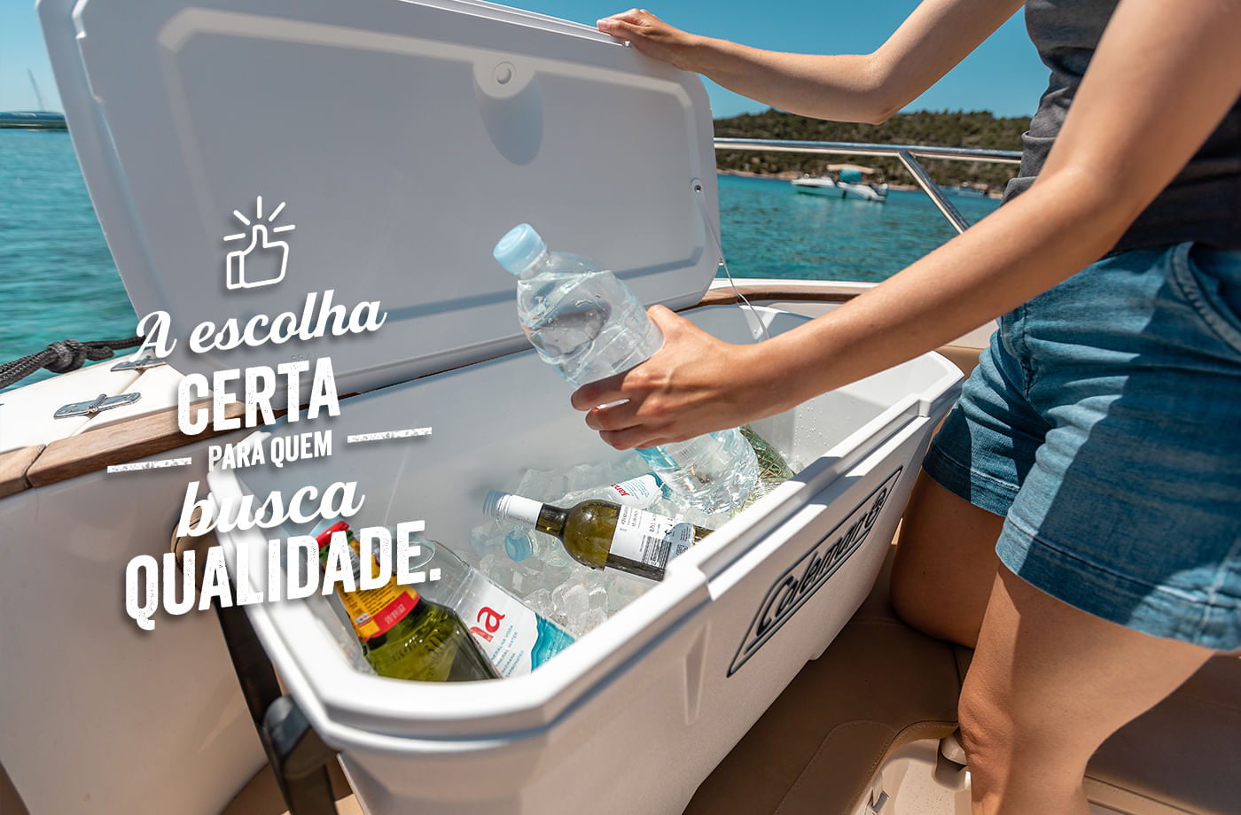 Banner footer Térmica 316 Series™ 66,2 litros - Marine