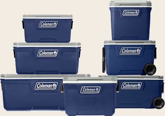 REC TERM 316 SERIES 150 QT
