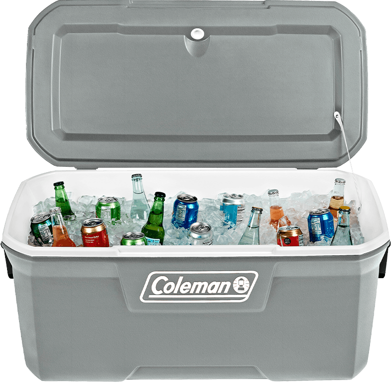 REC TERM 316 SERIES 120 QT (113,5 L) - SILVER ASH