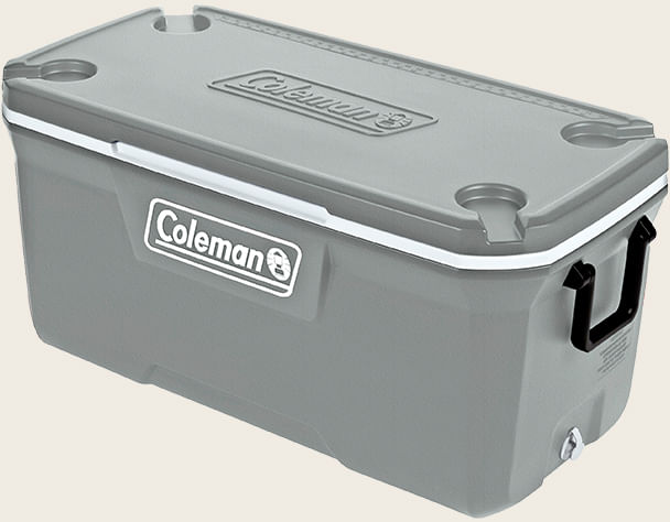 REC TERM 316 SERIES 120 QT (113,5 L) - SILVER ASH