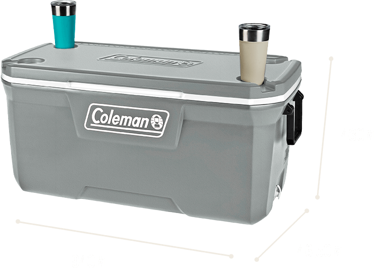 REC TERM 316 SERIES 120 QT (113,5 L) - SILVER ASH
