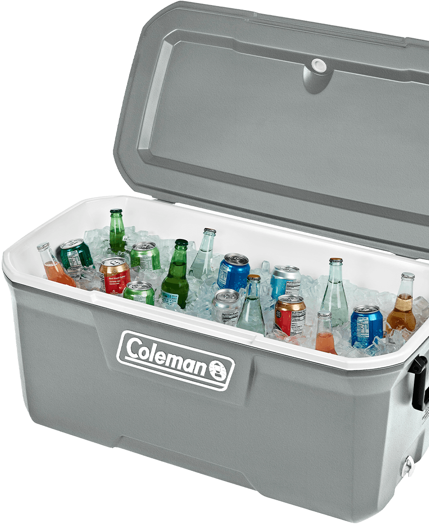 REC TERM 316 SERIES 120 QT (113,5 L) - SILVER ASH