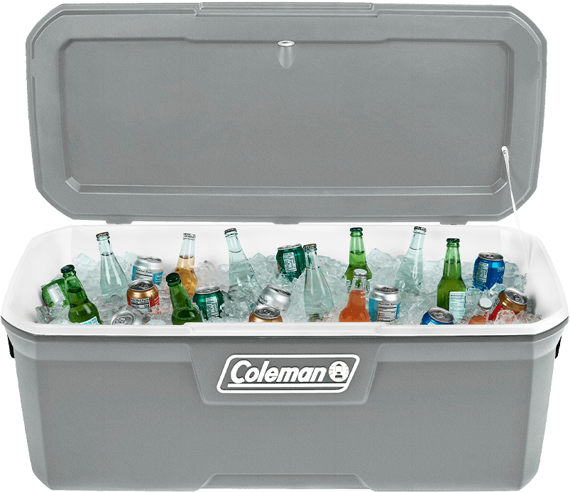 REC TERM 316 SERIES 150 QT (142 L) -  SILVER ASH