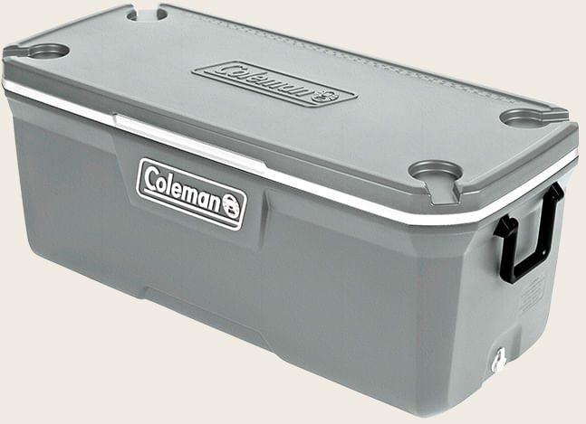 REC TERM 316 SERIES 150 QT (142 L) -  SILVER ASH