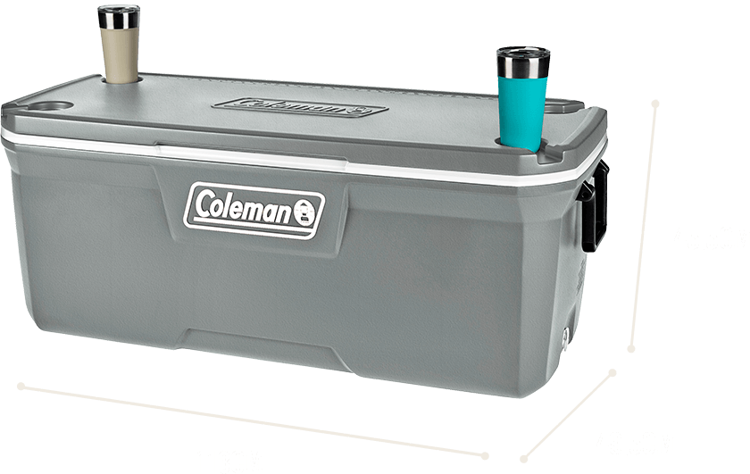 REC TERM 316 SERIES 150 QT (142 L) -  SILVER ASH