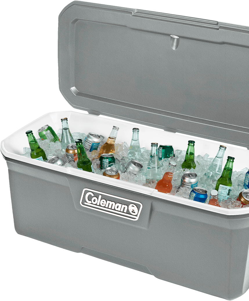 REC TERM 316 SERIES 150 QT (142 L) -  SILVER ASH