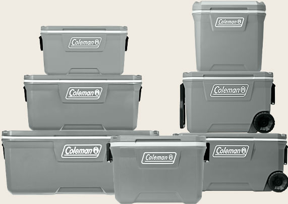 REC TERM 316 SERIES 150 QT (142 L) -  SILVER ASH